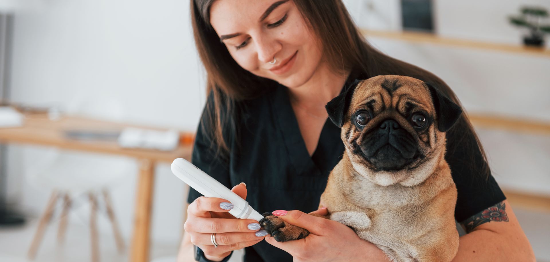 Lesolle Veterinary Services Limited